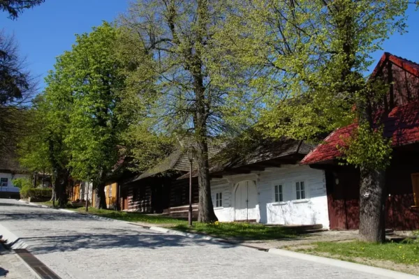 Ostrzeżenie o wysokim stężeniu ozonu w powiecie wadowickim