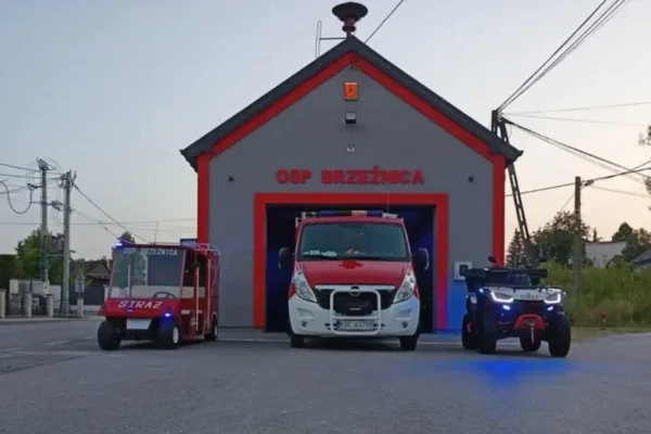 OSP Brzeźnica usunęła gniazdo szerszeni – apel o ostrożność