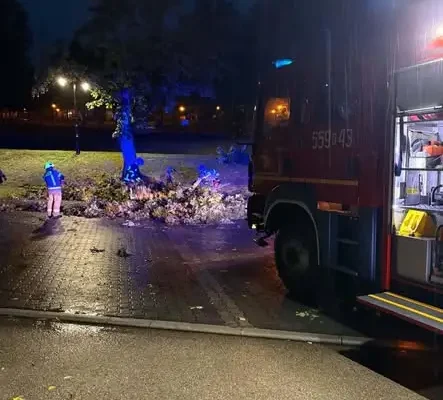 Drzewo powalone na drogę w Kalwarii Zebrzydowskiej – interwencja OSP