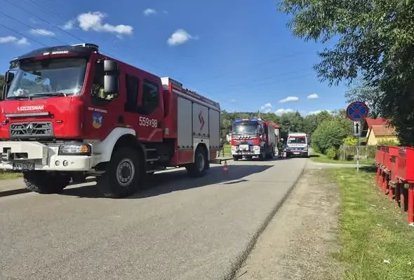 Kolizja w Jaszczurowej – działania służb