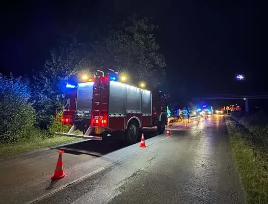Kolizja z dziką zwierzyną w Wieprzu na ul. Żywieckiej