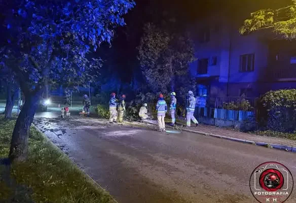 Powalone drzewo blokuje ulicę Rólki w Kalwarii Zebrzydowskiej