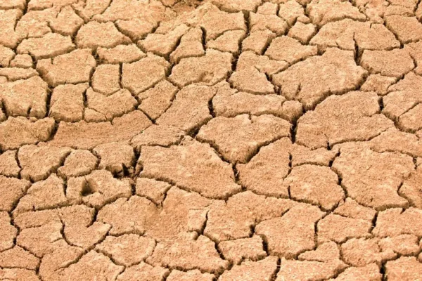 Ostrzeżenie hydrologiczne: susza hydrologiczna w gminie Tomice