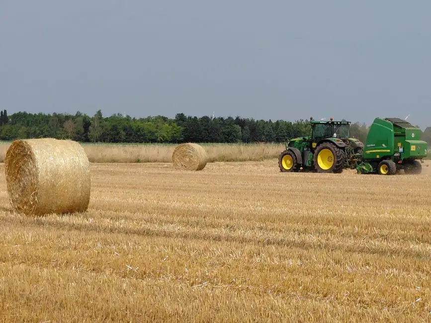 Trwa badanie gospodarstw rolnych w Małopolsce – Urząd Statystyczny w Krakowie informuje