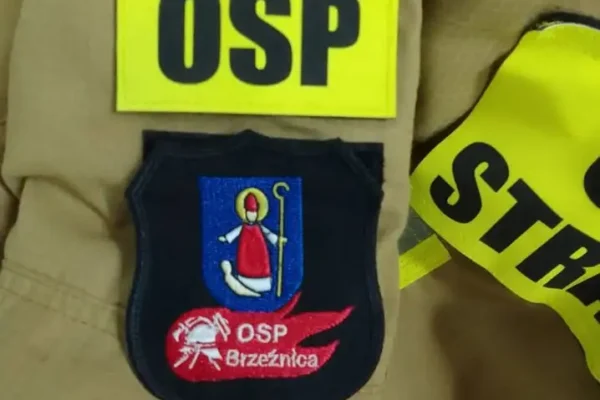 OSP Brzeźnica interweniowała przy pochylonym drzewie i zwisającym kablu