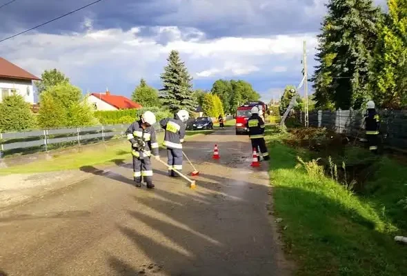 Interwencja OSP Jamy: powalone drzewa i uszkodzona linia energetyczna