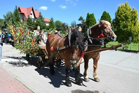 Dożynki Gminne w Stroniu: Święto Tradycji i Wspólnoty