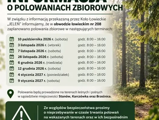 Polowania zbiorowe w obwodzie łowieckim nr 208 – harmonogram i ostrzeżenie dla mieszkańców