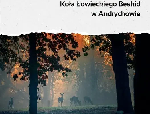 Koło Łowieckie „Beskid” w Andrychowie ogłasza terminy polowań zbiorowych w obwodzie nr 104