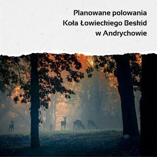 Koło Łowieckie „Beskid” w Andrychowie ogłasza terminy polowań zbiorowych w obwodzie nr 104