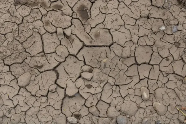 Ostrzeżenie hydrologiczne: susza hydrologiczna w gminie Tomice