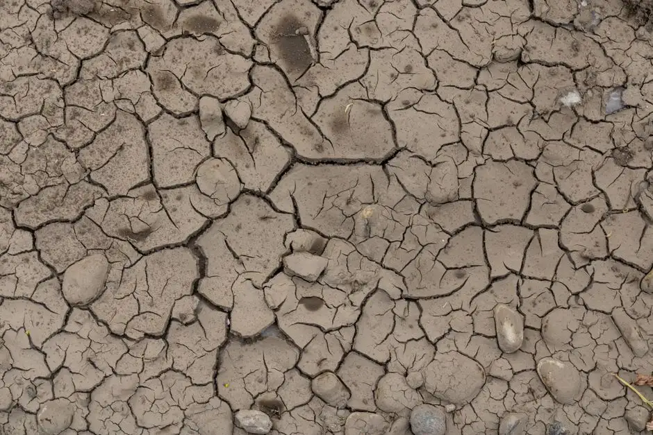 Ostrzeżenie hydrologiczne: susza hydrologiczna w gminie Tomice