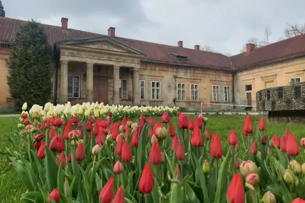 Andrychów: mieszkańcy zdecydowali, co powstanie w odnowionym pałacu