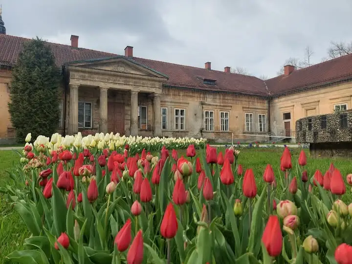 Andrychów: mieszkańcy zdecydowali, co powstanie w odnowionym pałacu